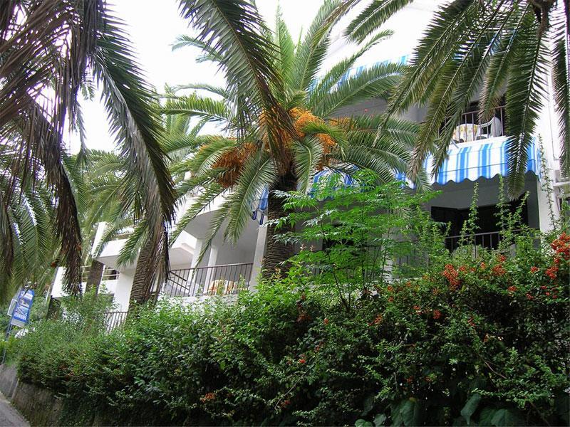 Apartmani I Sobe Goca ヘルツェグ・ノヴィ エクステリア 写真