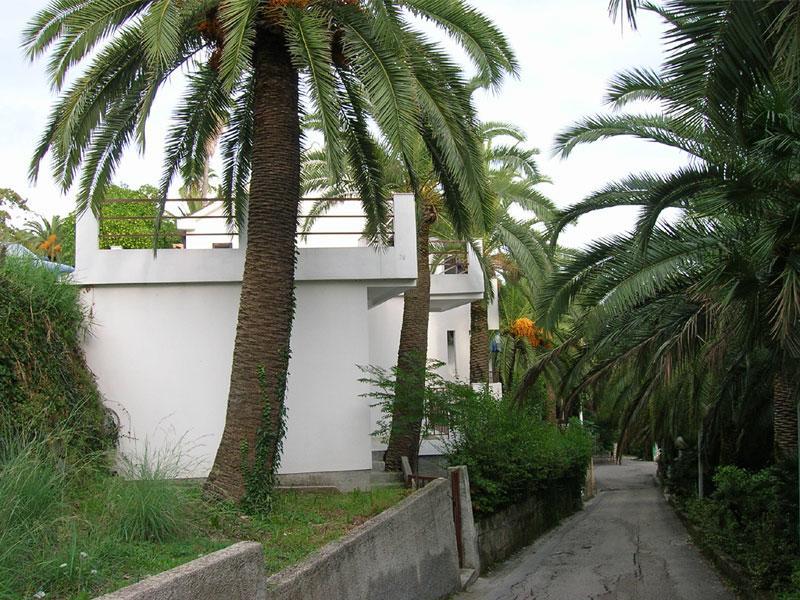 Apartmani I Sobe Goca ヘルツェグ・ノヴィ エクステリア 写真